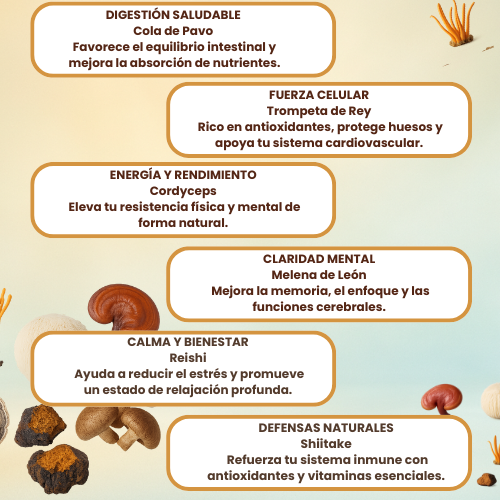 Café funcional con hongos. Sin ansiedad, sin inflamación. Solo bienestar real.